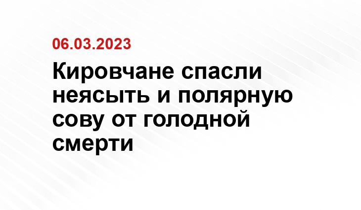 https://vk.com/nest_xxl