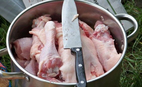 Опасные деликатесы: что прячется в куриных органах — разъясняет эксперт Опасные деликатесы: что прячется в куриных органах — разъясняет эксперт