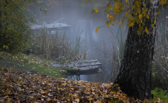 Испытание Луны для отношений: какие связи переживут неделю судьбы с 17 по 23 ноября 2025 года